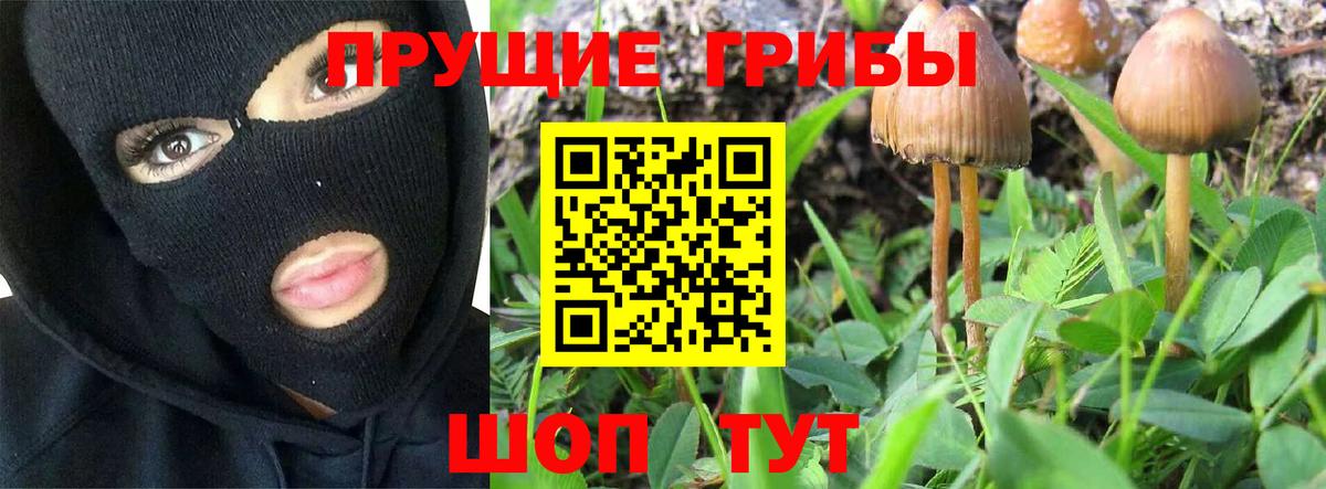 Галлюциногенные грибы ЛСД  Вход с VPN  Донской 