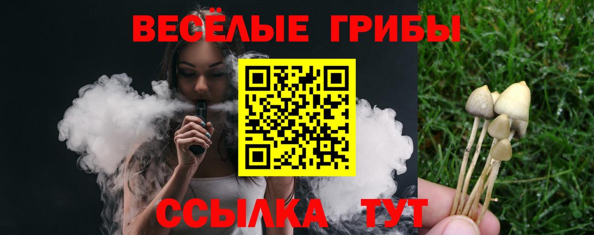 Галлюциногенные грибы Psilocybe Донской